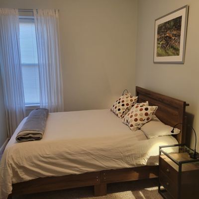 Classic Boston: lovely 1br renovated condo! 4