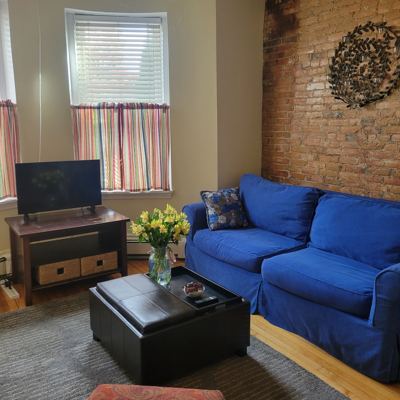 Classic Boston: lovely 1br renovated condo! 1