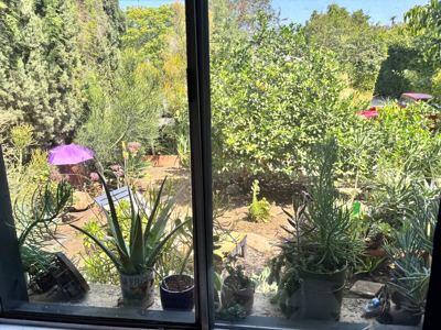 Artist's retreat, Lush garden & Giant Tortoise! 7