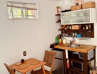 Sunny Studio with Garden 4