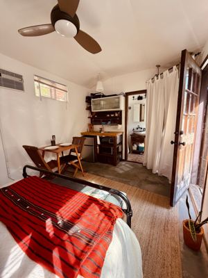 Sunny Studio with Garden 3