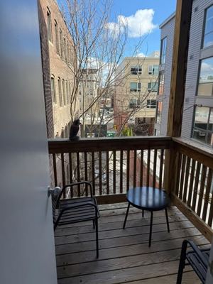 Room for Rent | Commonwealth Ave, Allston: Bedroom, 93 sq ft 3