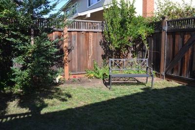 Palo Alto Studio/One Bedroom for rent 5