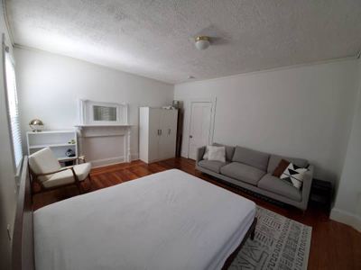 MASSIVE STUDIO size room with deck and yard 5