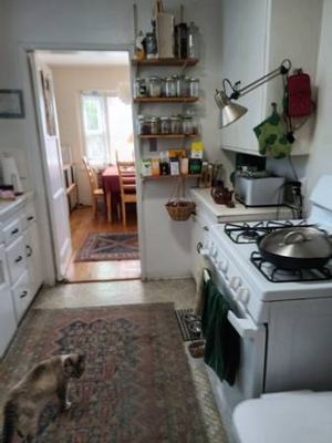 Own Room in Large Furnished 2-Bed Apartment 7