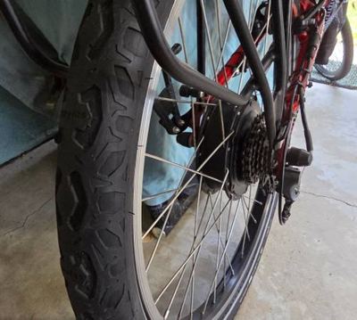Bachetta recumbent 4