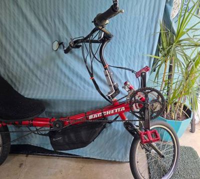Bachetta recumbent 3