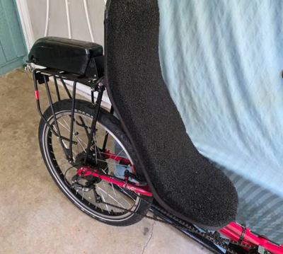 Bachetta recumbent 7