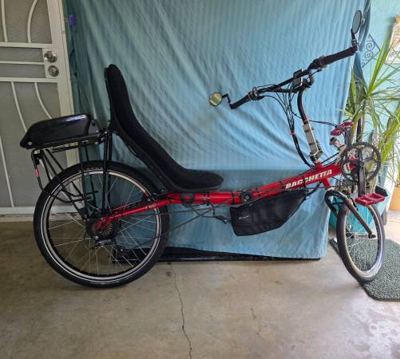 Bachetta recumbent 1