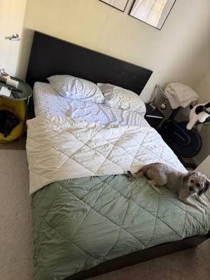Free ikea sofa and bed 2