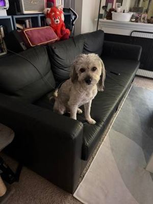 Free ikea sofa and bed 1