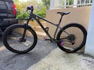 Trek Roscoe 8 Mountain Bike 2