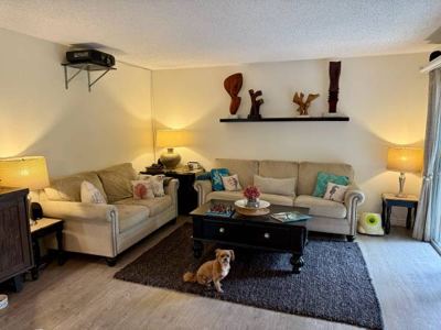 Room for Rent – Hermosa Beach (Walk to the Ocean, Must Love Animals!) 6