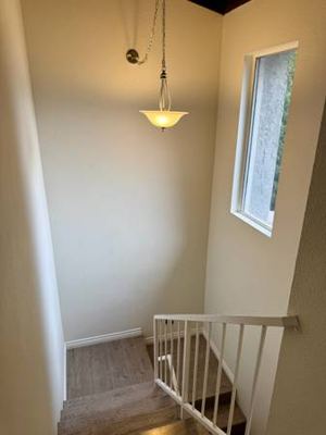 Room for Rent – Hermosa Beach (Walk to the Ocean, Must Love Animals!) 4