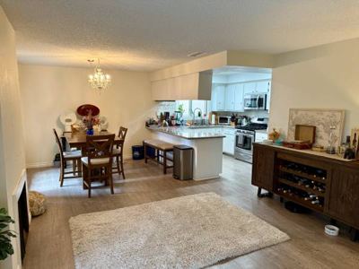 Room for Rent – Hermosa Beach (Walk to the Ocean, Must Love Animals!) 5