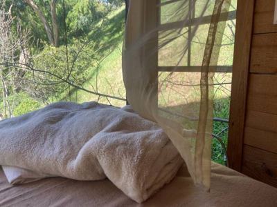 Stunning riders room overlooking 16 acres in the canyon 5