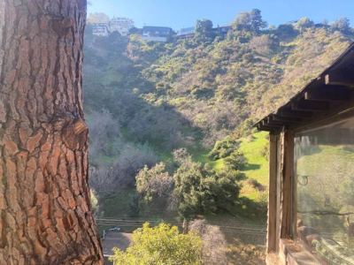 Stunning riders room overlooking 16 acres in the canyon 7