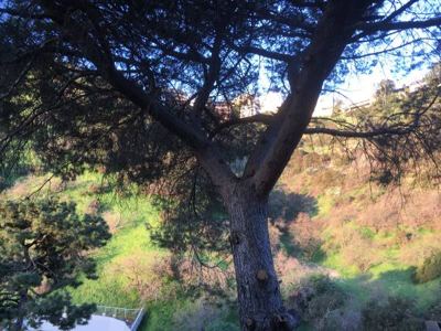 Stunning riders room overlooking 16 acres in the canyon 8