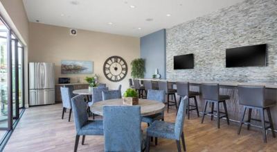 Designer Lighting, Pets Welcome, High End Vinyl Wood Floors 5
