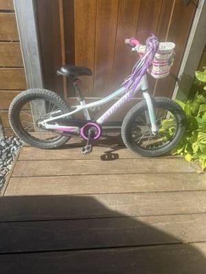 Specialized Riprock Kids Bicycle 3