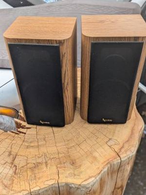 INFINITY RS 1001 speakers...for repair or parts...needs to be refoamed 2
