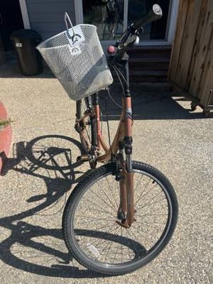 Globe Caramel Specialized 4