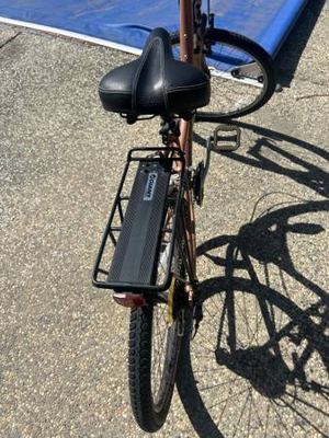 Globe Caramel Specialized 2