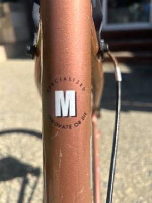 Globe Caramel Specialized 6
