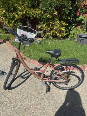 Globe Caramel Specialized 1