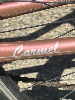 Globe Caramel Specialized 8