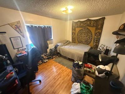 Roommate needed 1