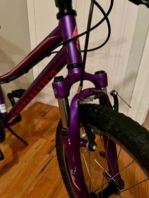 Specialized Hotrock 20 kids 7-speed mountain bike in excellent condition 2
