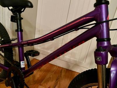 Specialized Hotrock 20 kids 7-speed mountain bike in excellent condition 3