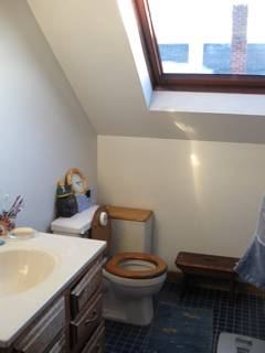 Large Room (Single) with Skylights 3F, Davis Sq Nov 1 3