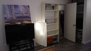 Temporary Furnished master bedroom in 2br/2bath fr October 7th 3