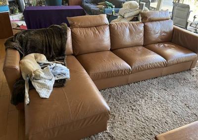 Leatherette Couch, Camel Brown, Storage Chase (IKEA FINNALA) 1