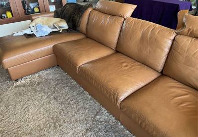 Leatherette Couch, Camel Brown, Storage Chase (IKEA FINNALA) 2