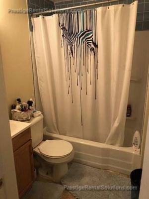 B.U. Huge 2 Room Studio For a Couple For 11- Lndry Allston 3