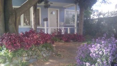 South east Arcadia 1