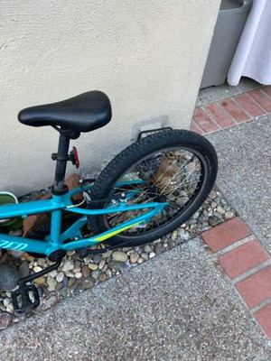 Specialized Riprock Coaster 20 Kids Bike, Aluminum, Single Speed, Turquoise 3