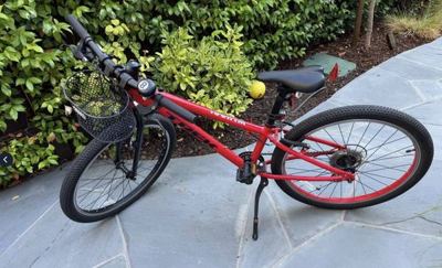 Kids Bike: Trek Wahoo Path 24” 2