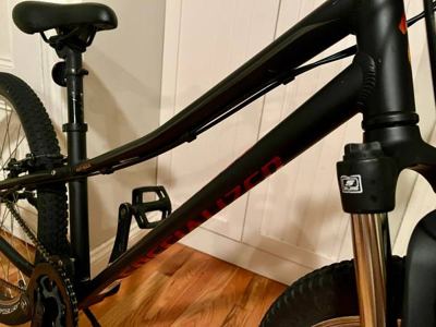 Specialized Hotrock 24 8-speed kids mountain bike in excellent condition 3