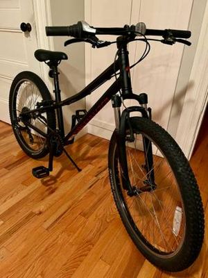 Specialized Hotrock 24 8-speed kids mountain bike in excellent condition 1