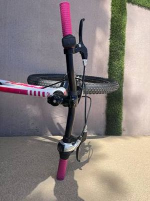 Trek Precaliber 24” Kids Mountain Bike 2