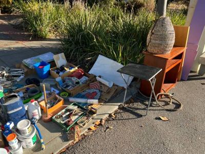 FREE: Construction, ceiling fan, Power strips, Cat/Dog 2