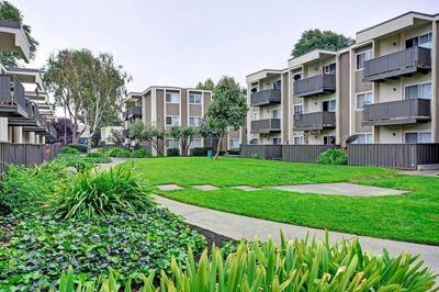 Affordable 1BR $2,230 - $1K Deposit - Move In Now 3