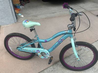 Schwinn Deelite 20 Inch Girls Bike, Teal 1