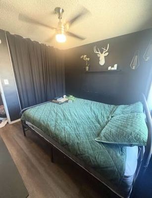 Beautiful Room for rent Chatsworth 3