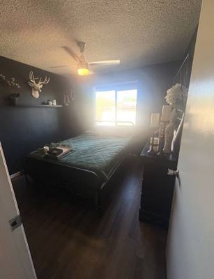 Beautiful Room for rent Chatsworth 2