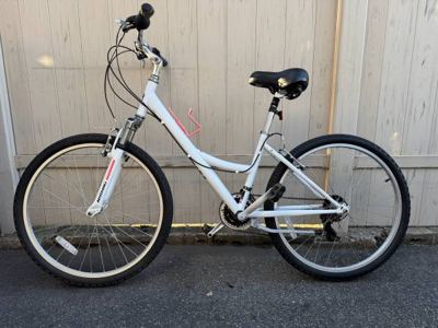 Nishiki Women's Tamarack Comfort Bike 1